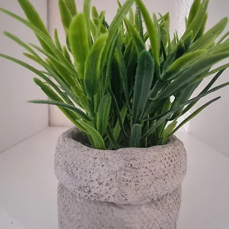 At K&d 16, Pool, Netflix Appartamento *