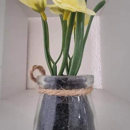 At K&d 16, Pool, Netflix Appartamento *